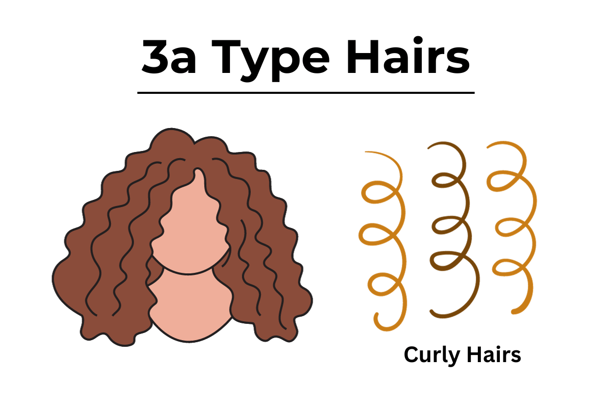 3a Type Hairs